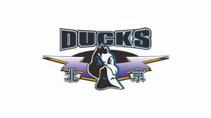 赵睿谈加盟北京的原因：球队有底蕴 我也想去有竞争力的球队